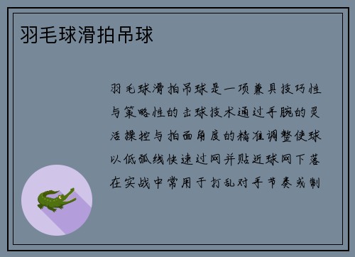 羽毛球滑拍吊球